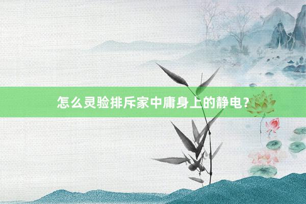 怎么灵验排斥家中庸身上的静电？